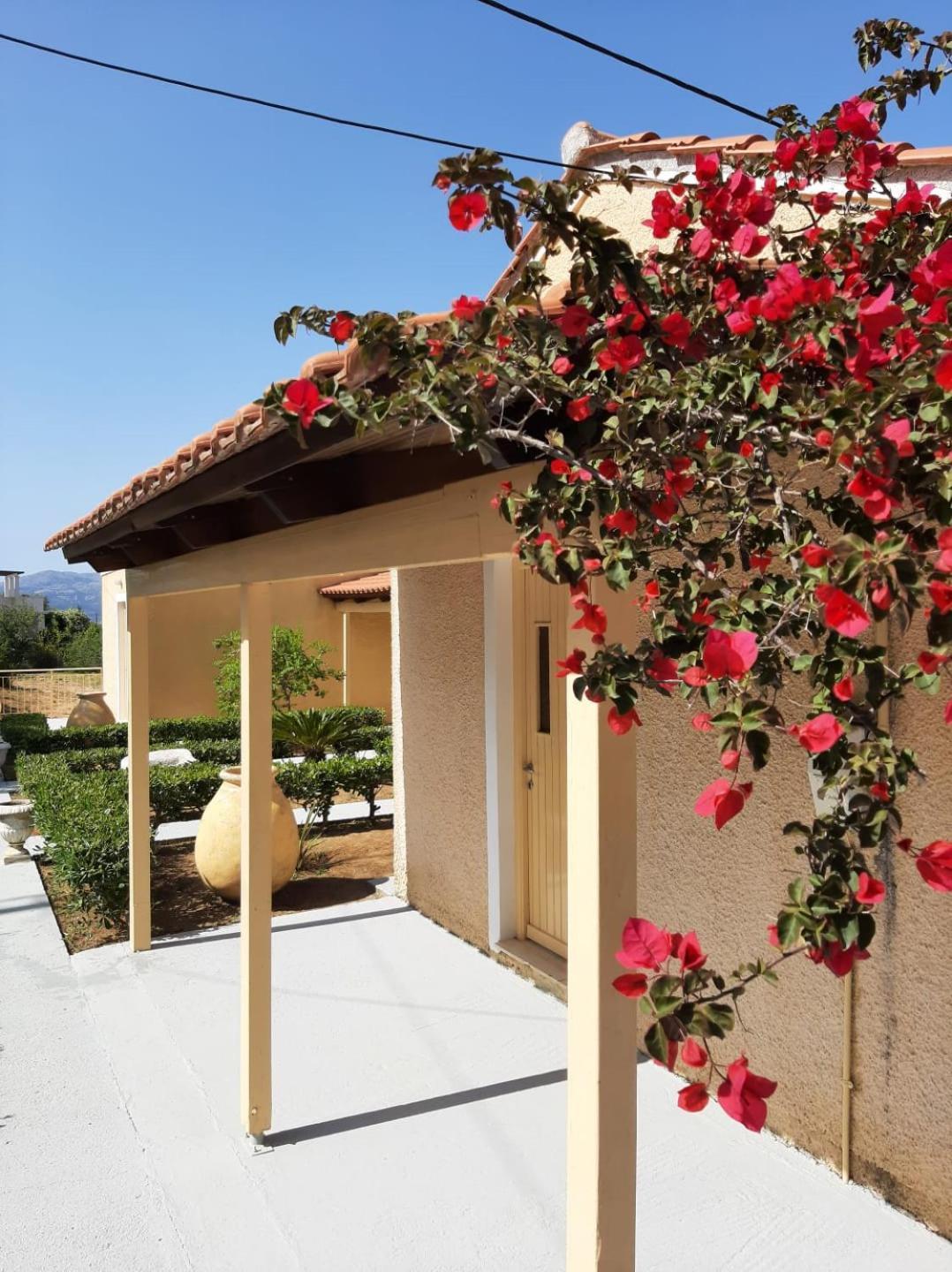 Aroma Studios Argostoli  Bagian luar foto